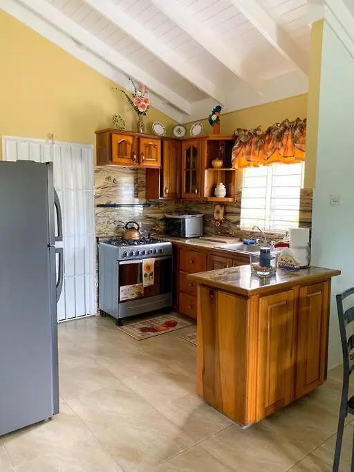 Cozy Villa Mammee Bay Jamaica